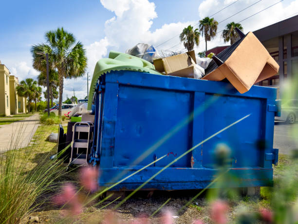 Yard Cleanup Services in Roselle, NJ